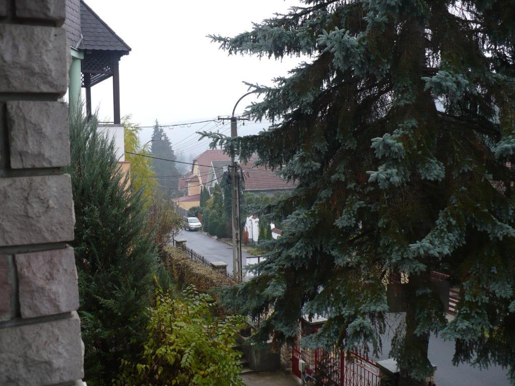 Kitty Apartman Lejlighed Miskolc Eksteriør billede